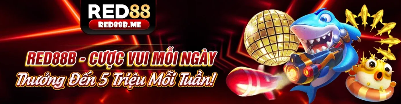 Chương trình VIP Kingbet - Trải nghiệm đẳng cấp ưu tú